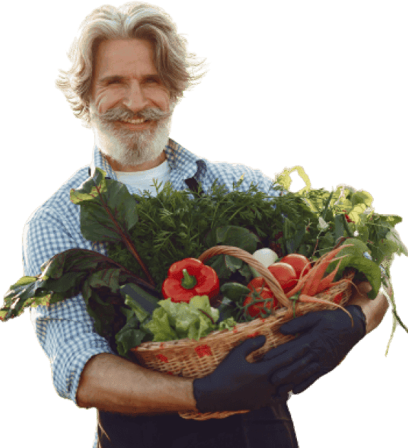fruit man - orti maia